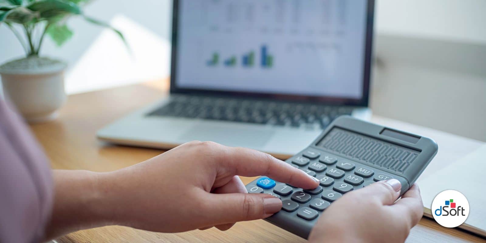 ¿Dónde Quedó el Subsidio para el Empleo en el 2024?